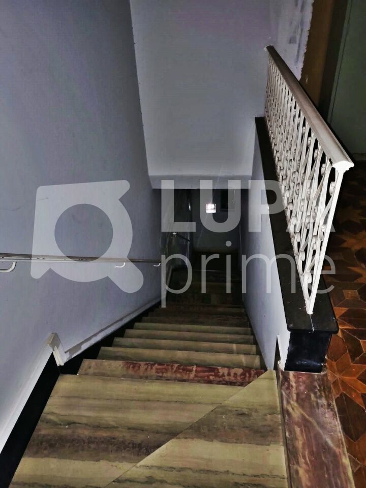 Casa, 4 quartos, 447 m² - Foto 6