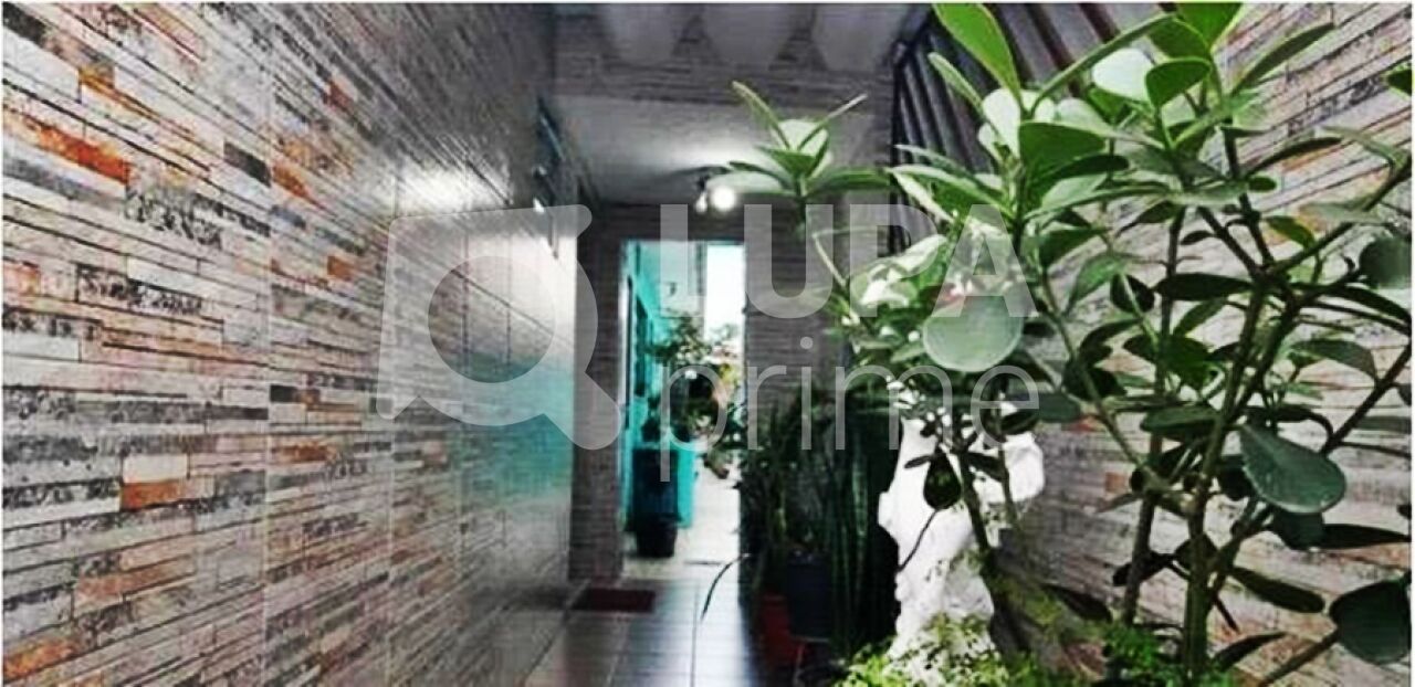 Casa, 4 quartos, 103 m² - Foto 5