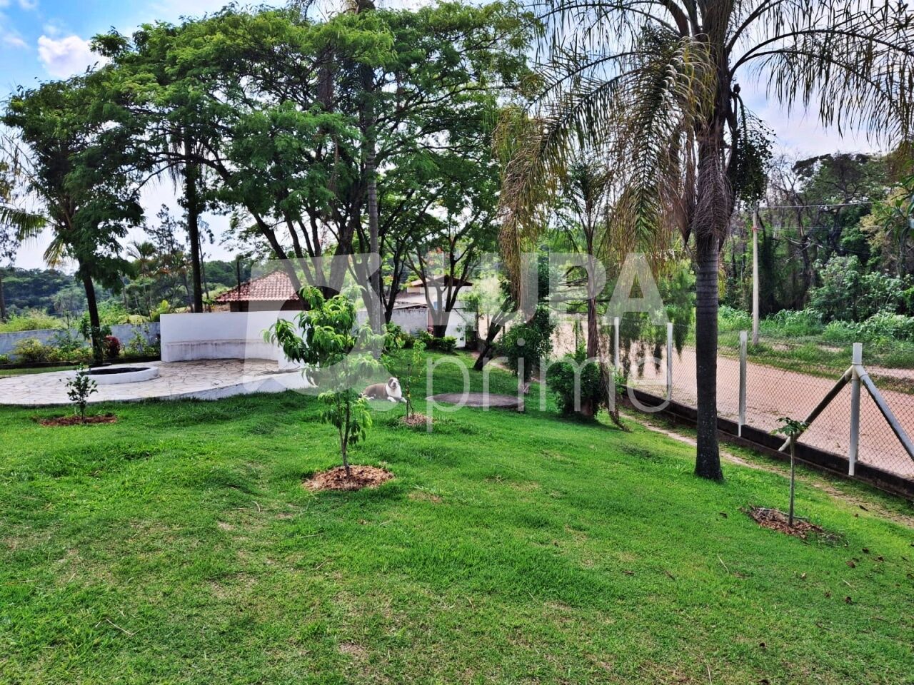 Casa, 4 quartos, 2537 m² - Foto 44