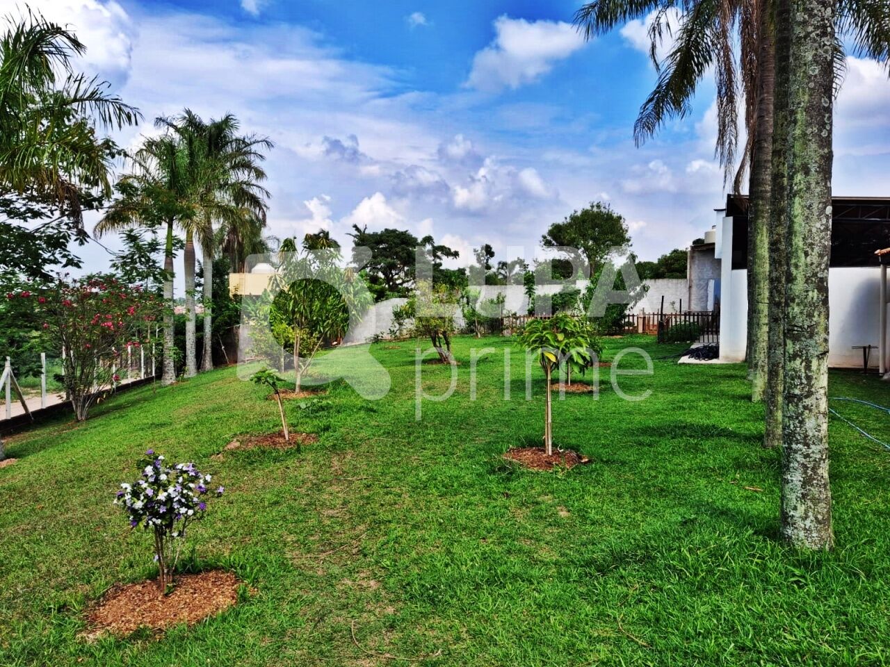 Casa, 4 quartos, 2537 m² - Foto 43