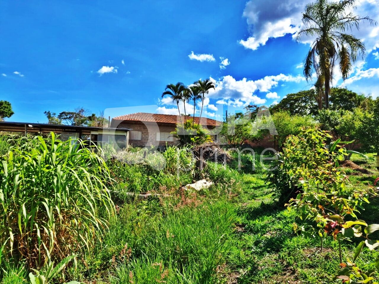 Casa, 1 quarto, 1582 m² - Foto 20