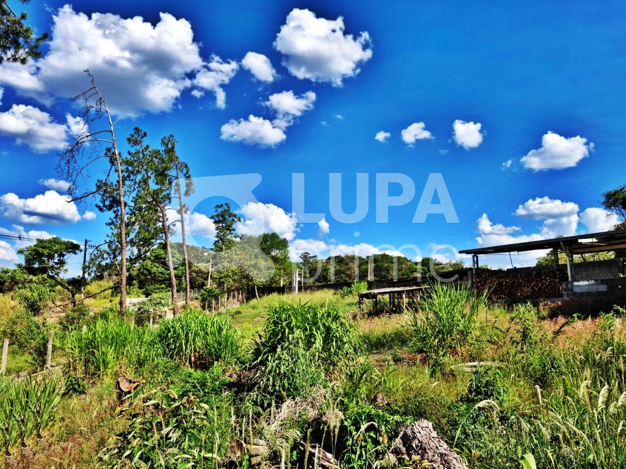 Casa, 1 quarto, 1582 m² - Foto 24