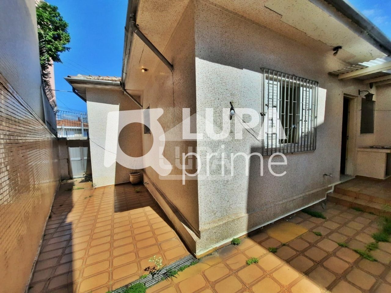 Casa, 4 quartos, 217 m² - Foto 12