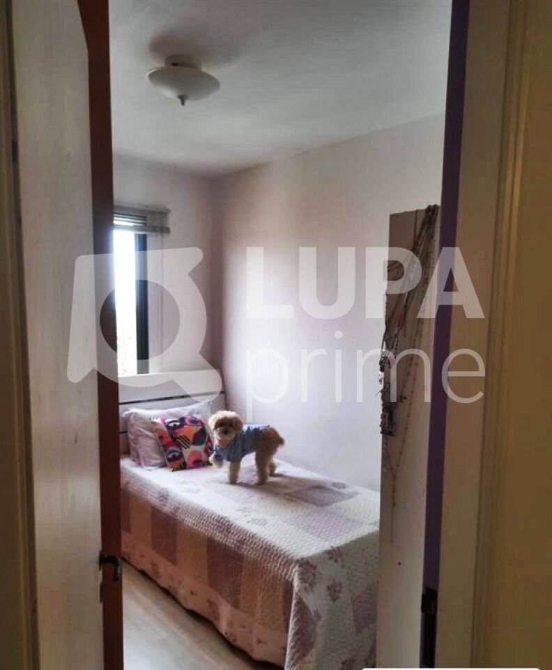 Apartamento, 2 quartos, 50 m² - Foto 4