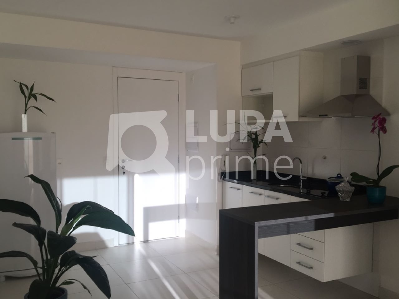 apartamento-venda-sao-paulo-santana-1dormitorio-30m2-LS16387