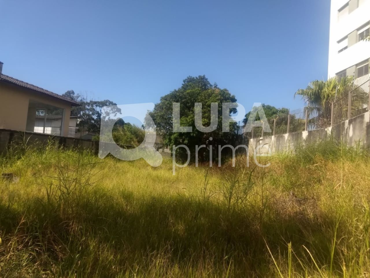 terreno-venda-sao-paulo-tucuruvi-LS21231