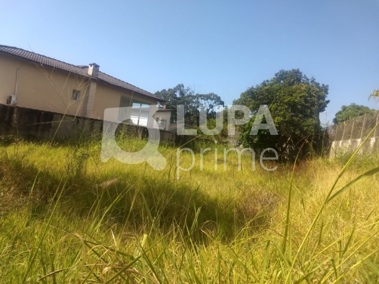 terreno-venda-sao-paulo-tucuruvi-LS21231