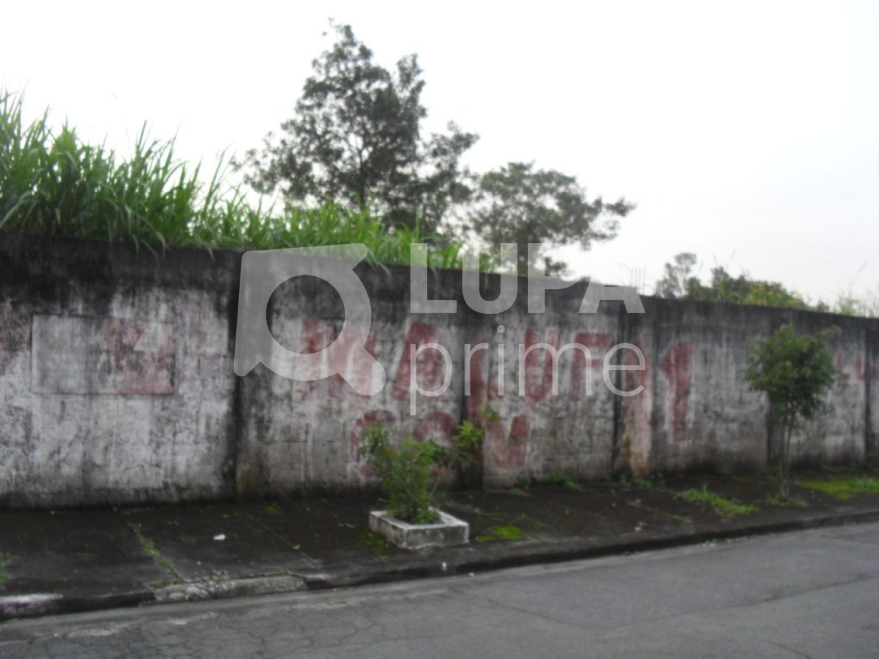 terreno-venda-sao-paulo-jardim-leonor-mendes-de-barros-LS2145