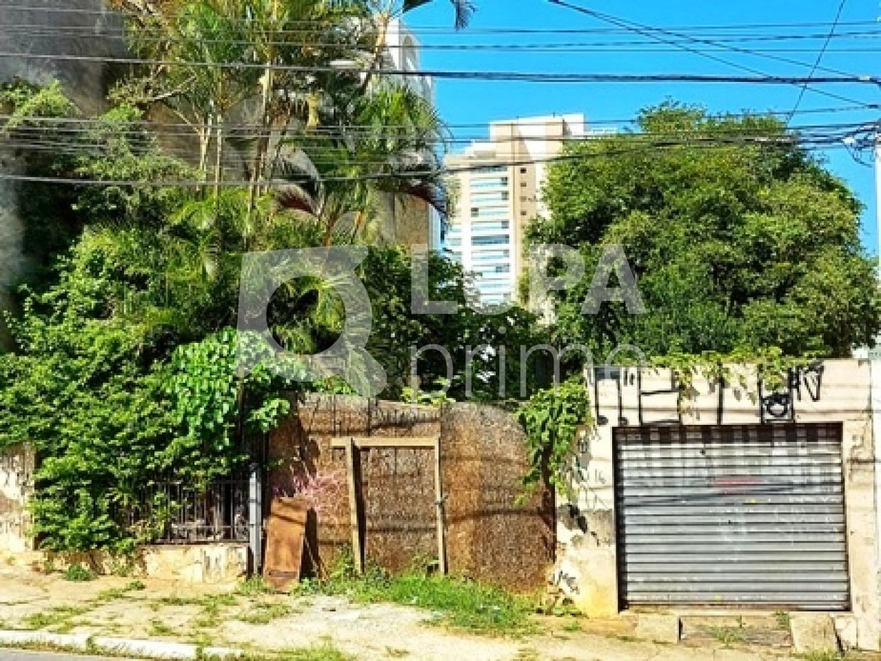 terreno-venda-sao-paulo-santa-teresinha-LS22454