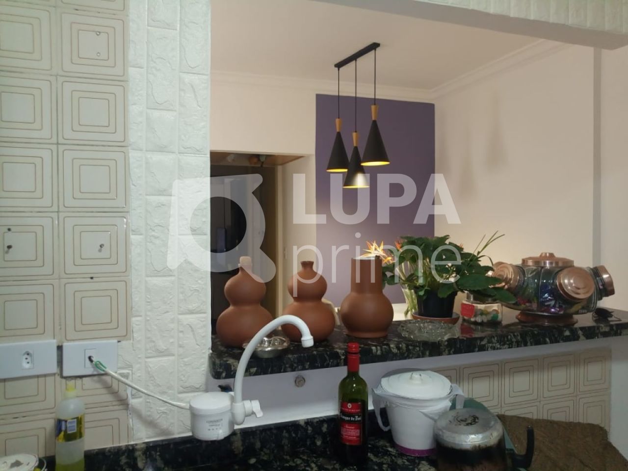 apartamento-venda-sao-paulo-santana-2dormitorios-1vaga-58m2-LS25097