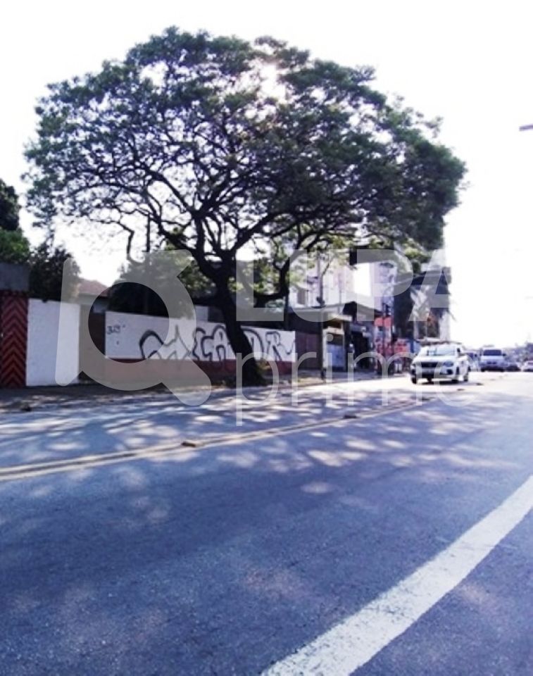 terreno-venda-sao-paulo-vila-nova-cachoeirinha-1362m2-LS25178