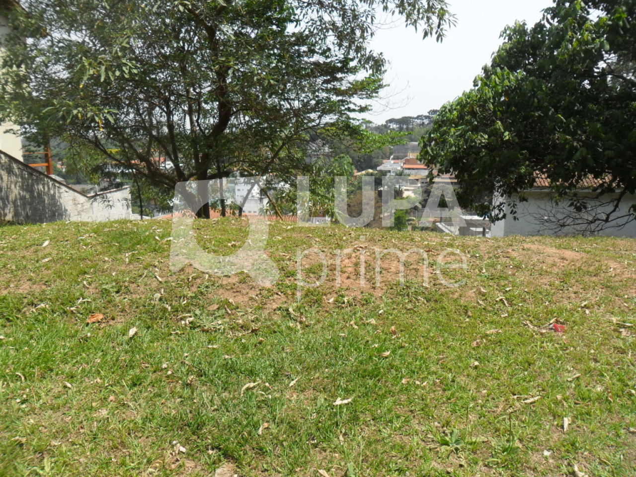 terreno-venda-sao-paulo-horto-florestal-295m2-LS25648