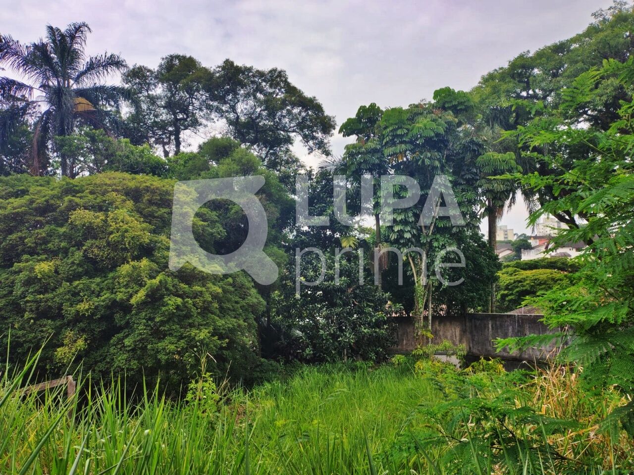 terreno-venda-sao-paulo-tucuruvi-100m2-LS27067