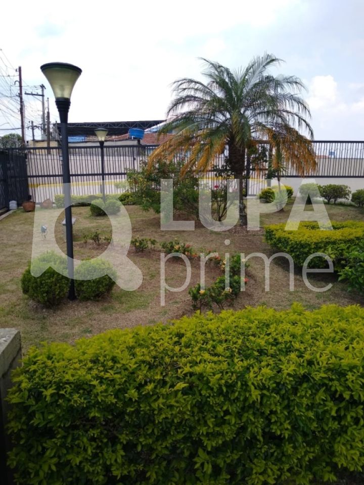 apartamento-venda-sao-paulo-vila-nova-cachoeirinha-3dormitorios-1suite-3vagas-78m2-LS28299