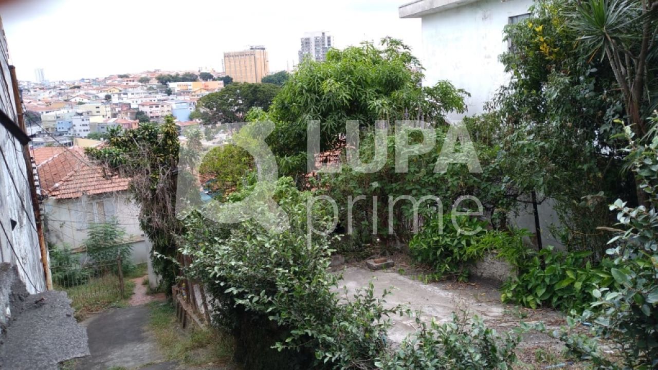 terreno-venda-sao-paulo-vila-gustavo-LS29336