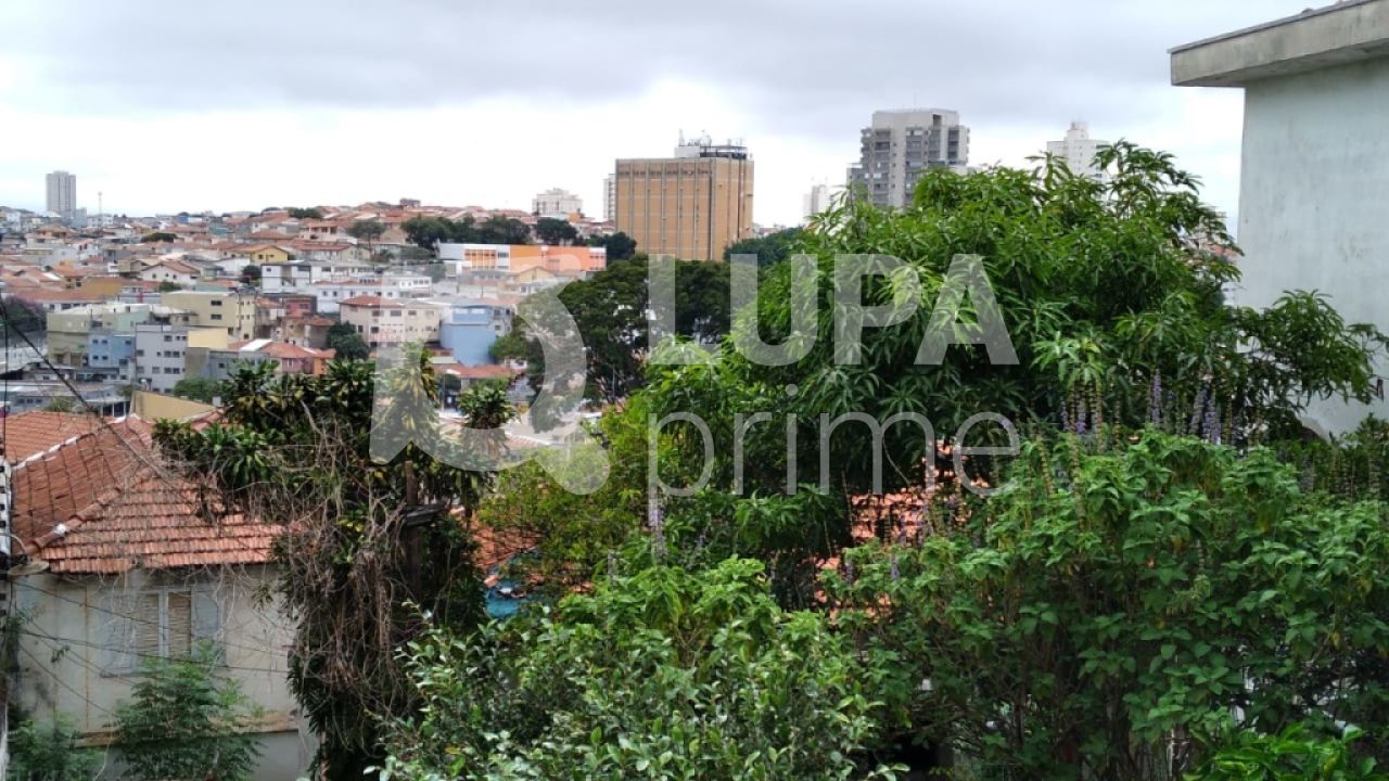 terreno-venda-sao-paulo-vila-gustavo-LS29336