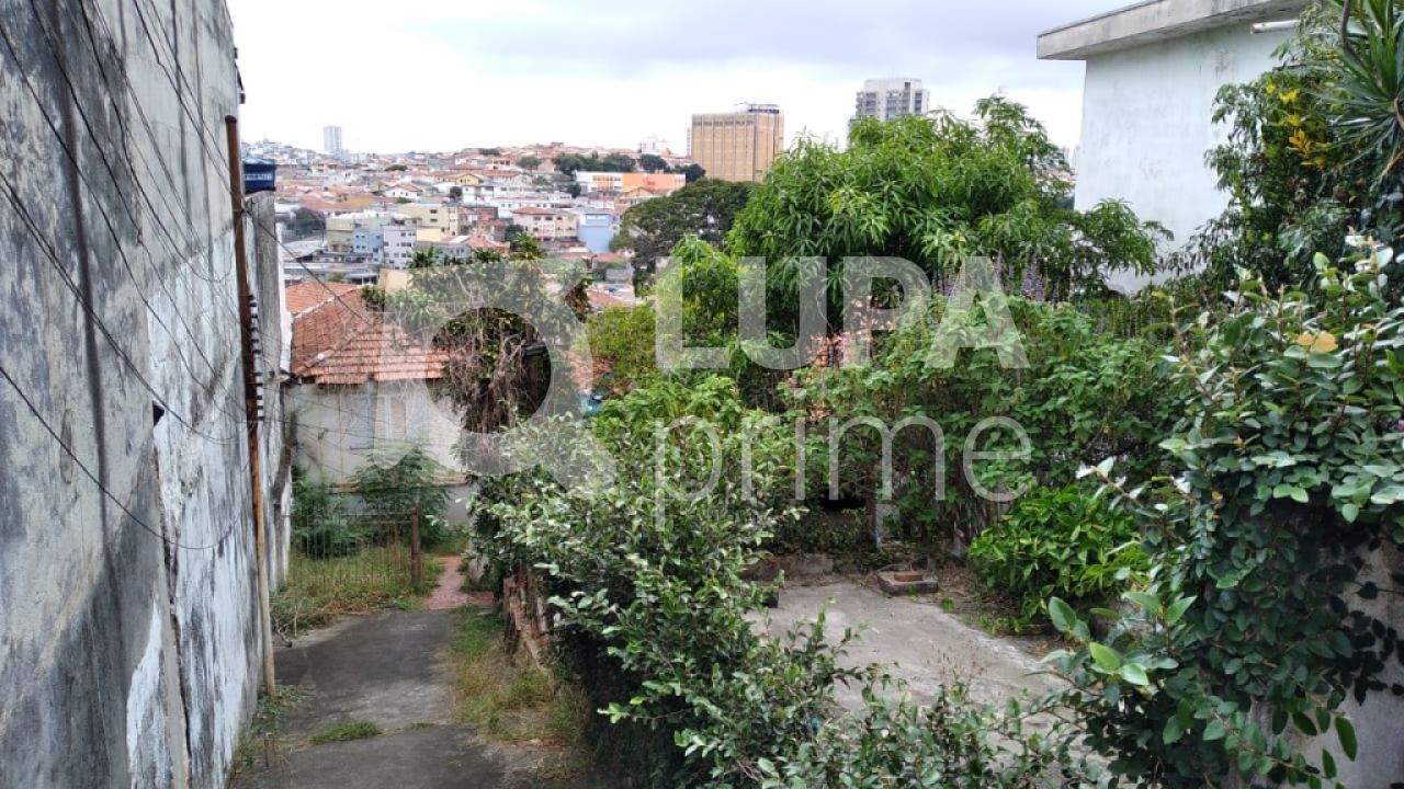 terreno-venda-sao-paulo-vila-gustavo-LS29336