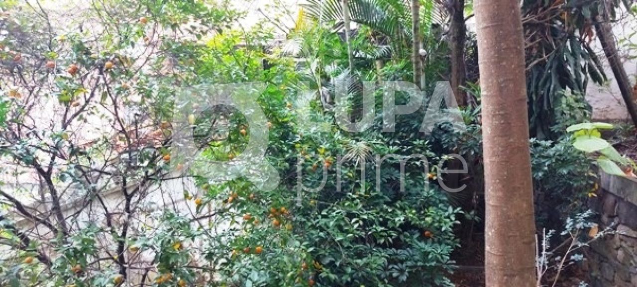 terreno-venda-sao-paulo-tucuruvi-LS29740