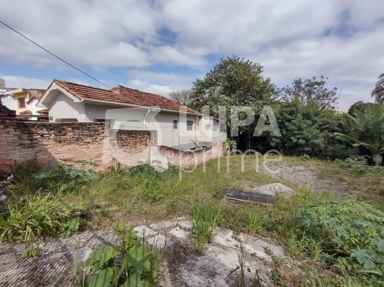 terreno-venda-sao-paulo-tucuruvi-LS29914