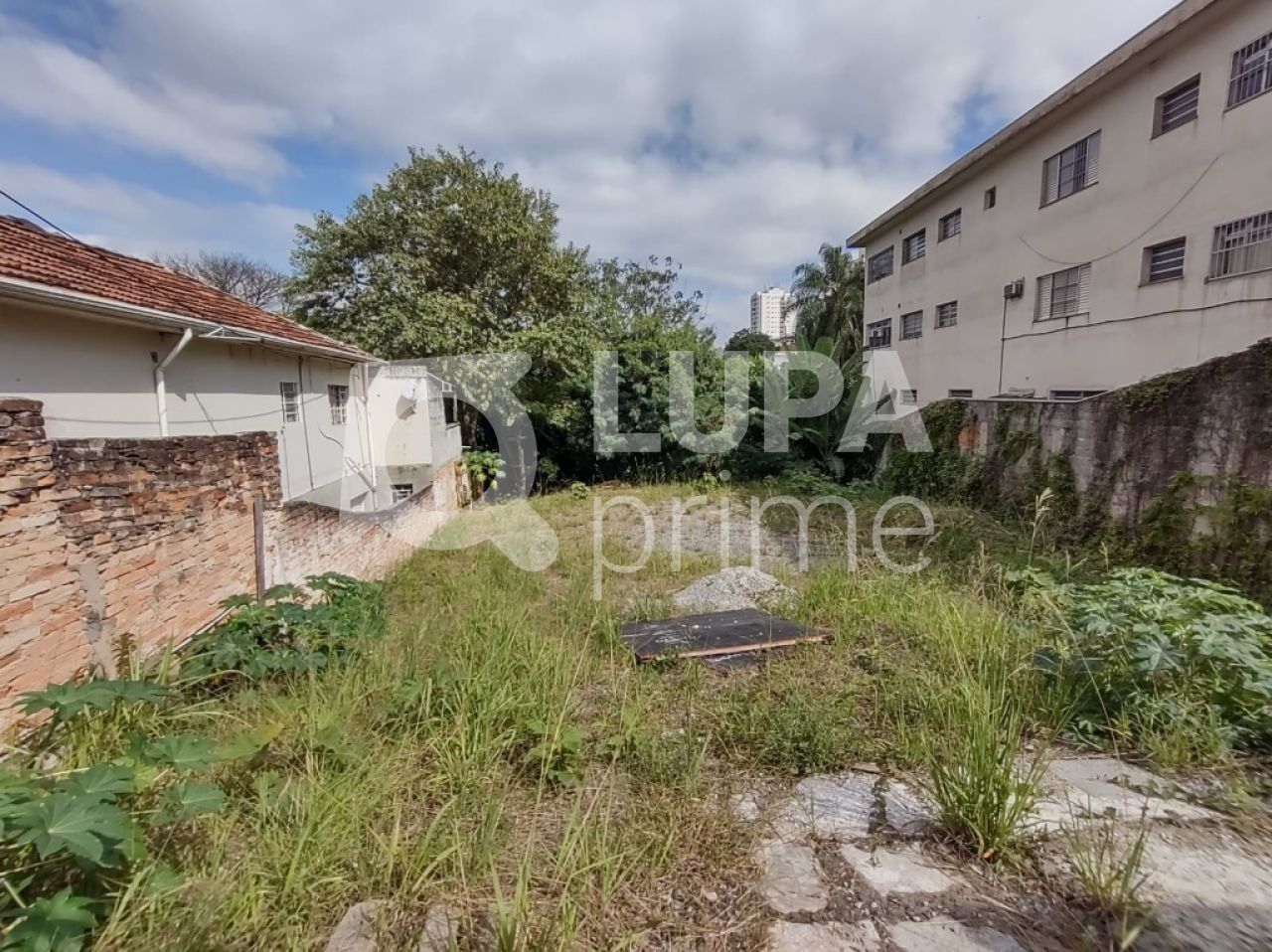 terreno-venda-sao-paulo-tucuruvi-LS29914