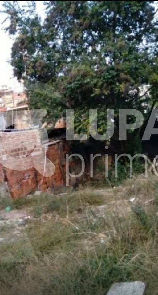 terreno-venda-sao-paulo-vila-medeiros-120m2-LS30161