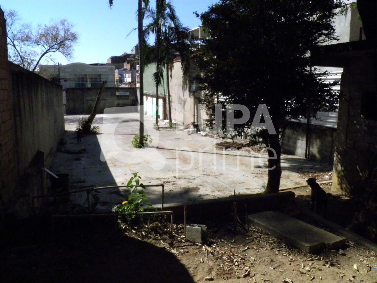 terreno-venda-sao-paulo-vila-ede-LS30400