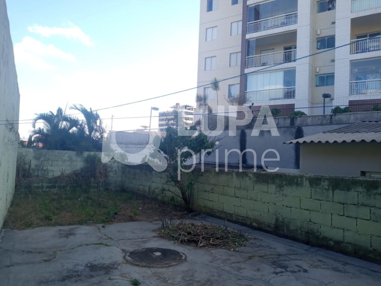 casa-terrea-venda-sao-paulo-vila-maria-alta-4dormitorios-2vagas-160m2-LS30797