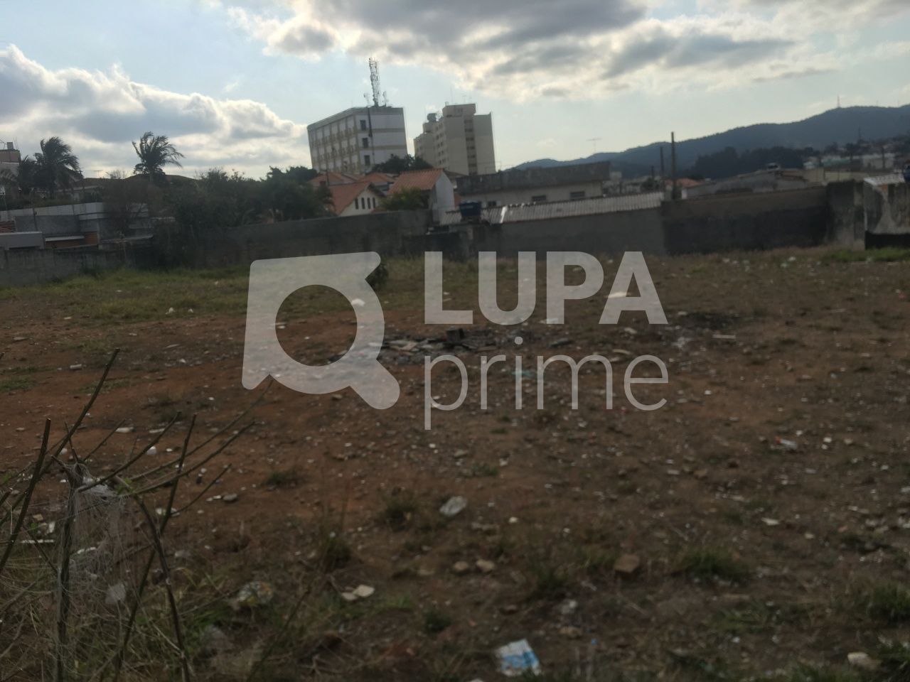 terreno-venda-sao-paulo-tucuruvi-LS31441