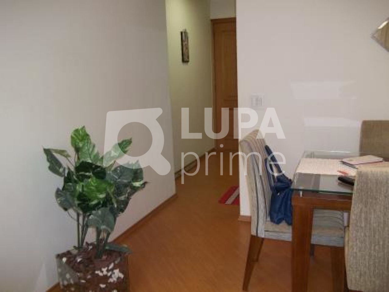 apartamento-venda-sao-paulo-agua-fria-3dormitorios-2vagas-86m2-LS3159