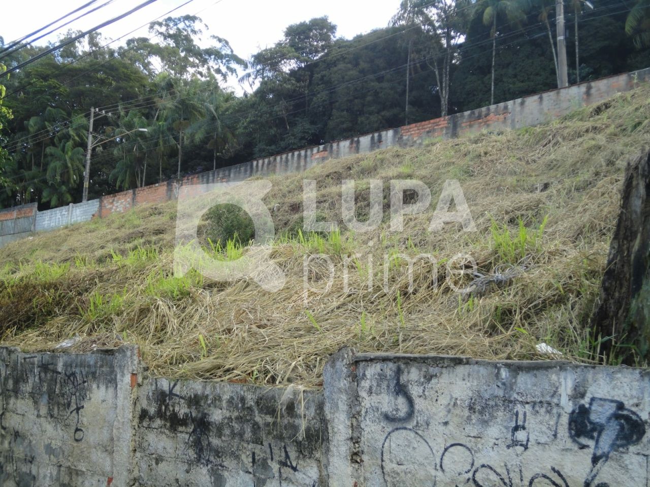 terreno-venda-sao-paulo-vila-rosa-1750m2-LS32234