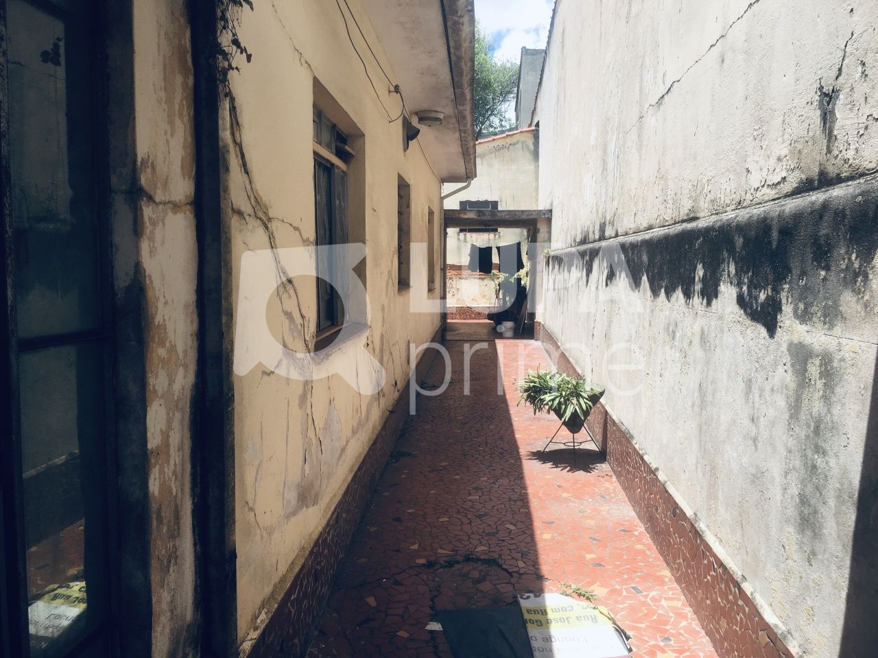 casa-terrea-venda-sao-paulo-vila-isolina-mazzei-3dormitorios-1vaga-140m2-LS32725