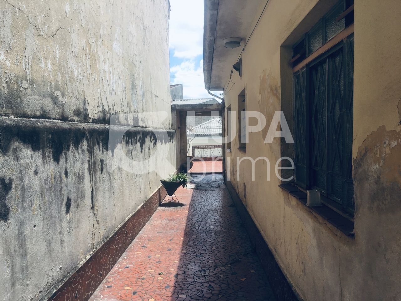 casa-terrea-venda-sao-paulo-vila-isolina-mazzei-3dormitorios-1vaga-140m2-LS32725