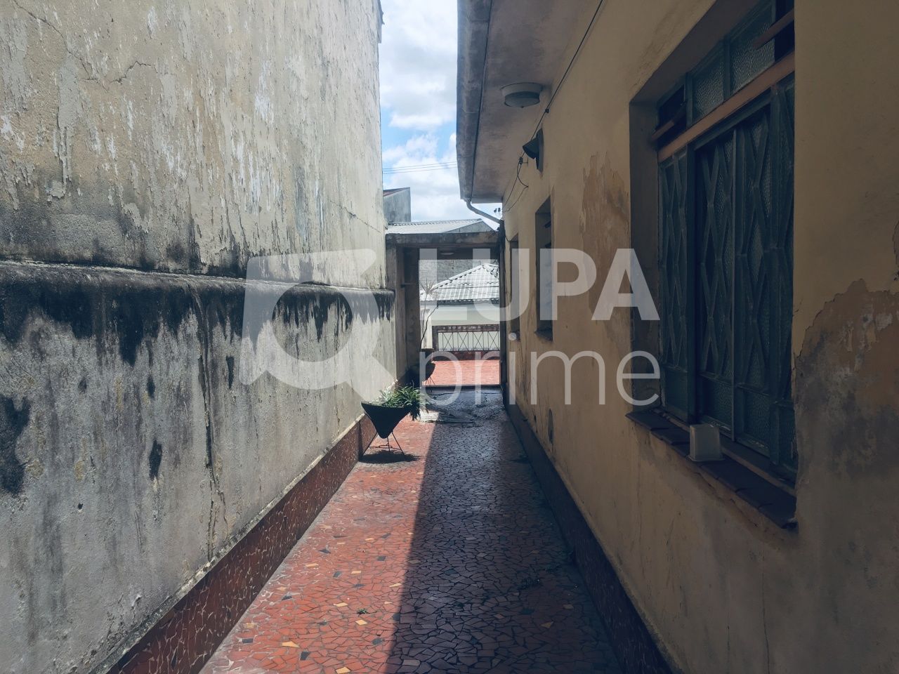 casa-terrea-venda-sao-paulo-vila-isolina-mazzei-3dormitorios-1vaga-140m2-LS32725