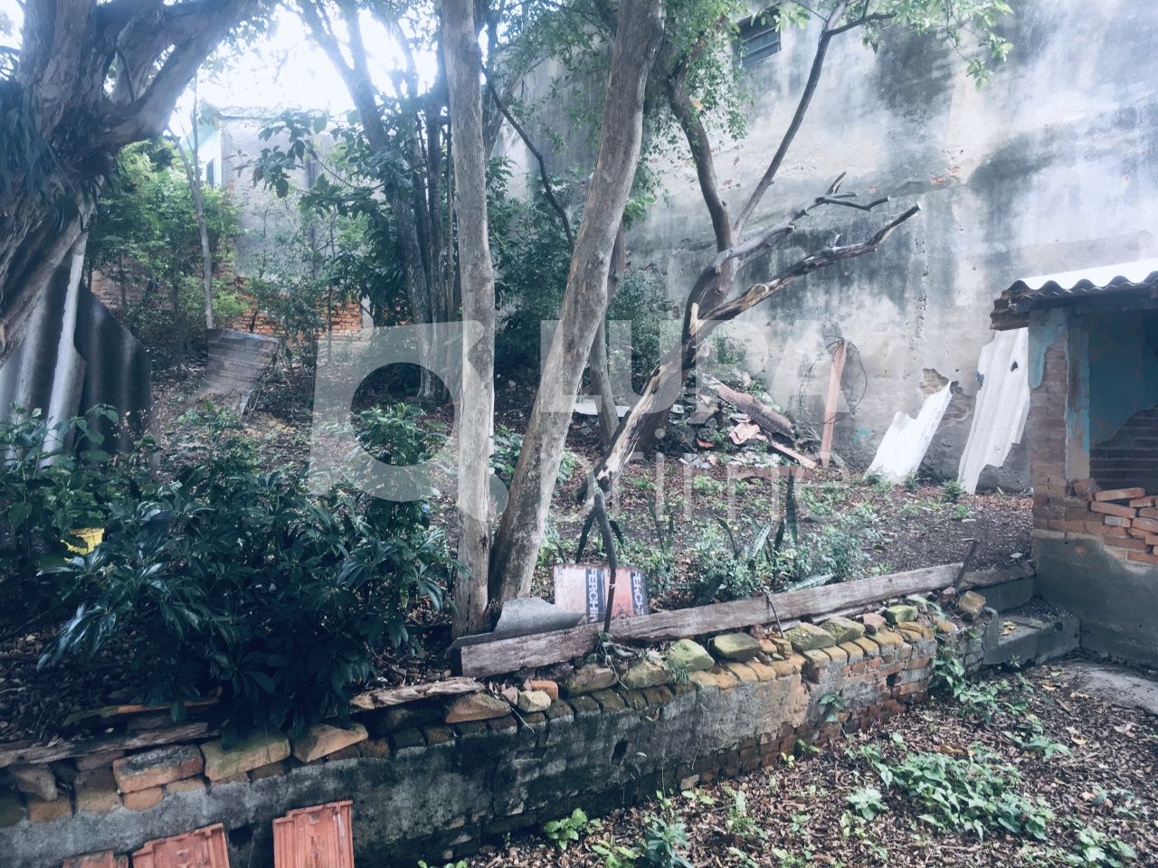 casa-terrea-venda-sao-paulo-vila-isolina-mazzei-3dormitorios-1vaga-140m2-LS32725