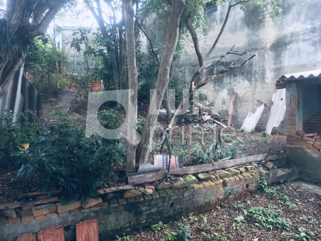 casa-terrea-venda-sao-paulo-vila-isolina-mazzei-3dormitorios-1vaga-140m2-LS32725