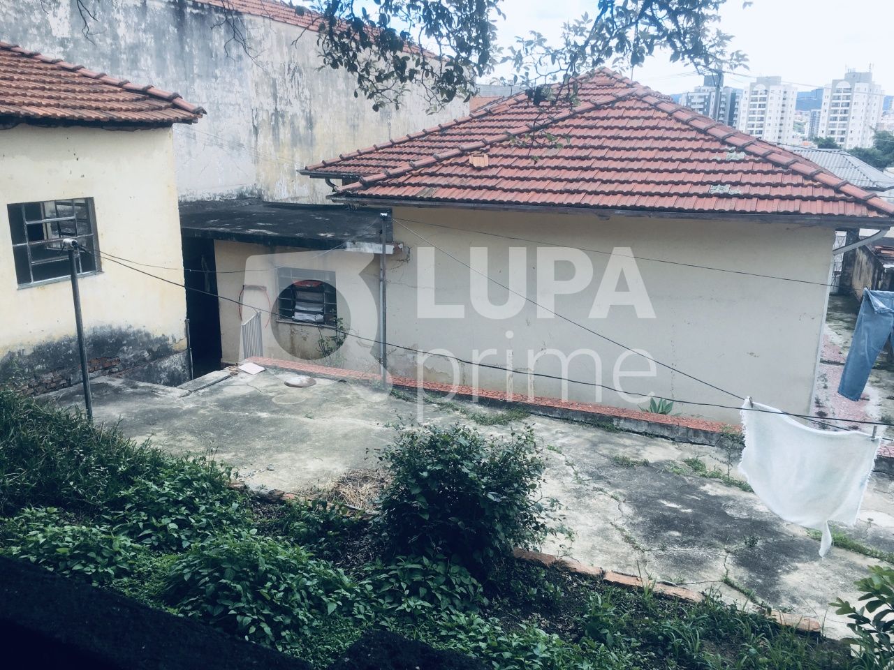 casa-terrea-venda-sao-paulo-vila-isolina-mazzei-3dormitorios-1vaga-140m2-LS32725