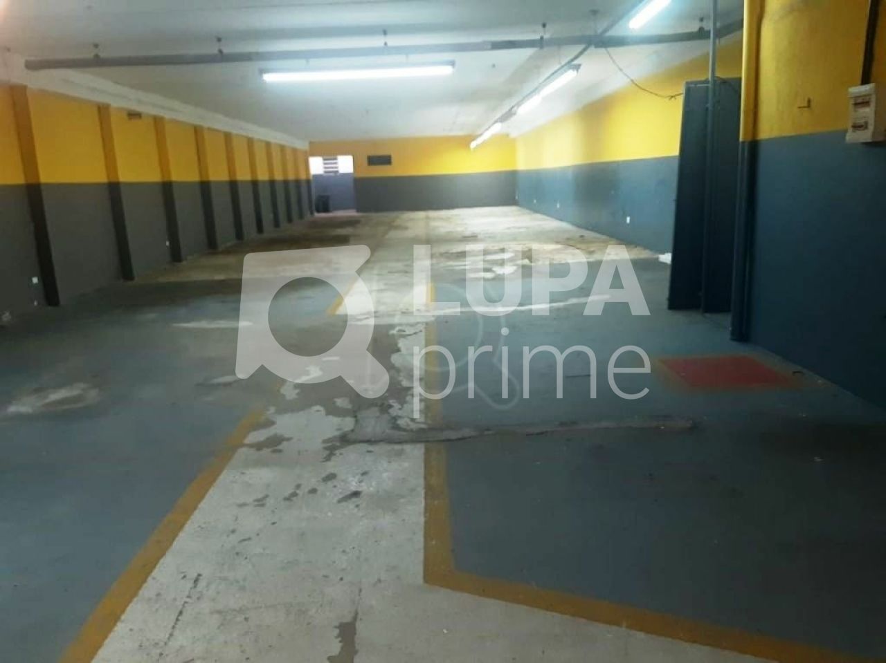 galpao-venda-sao-paulo-parque-peruche-4vagas-900m2-LS33063