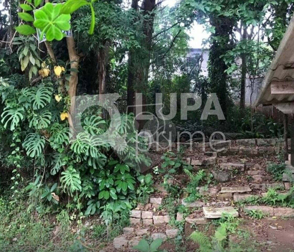 terreno-venda-sao-paulo-horto-florestal-639m2-LS33335