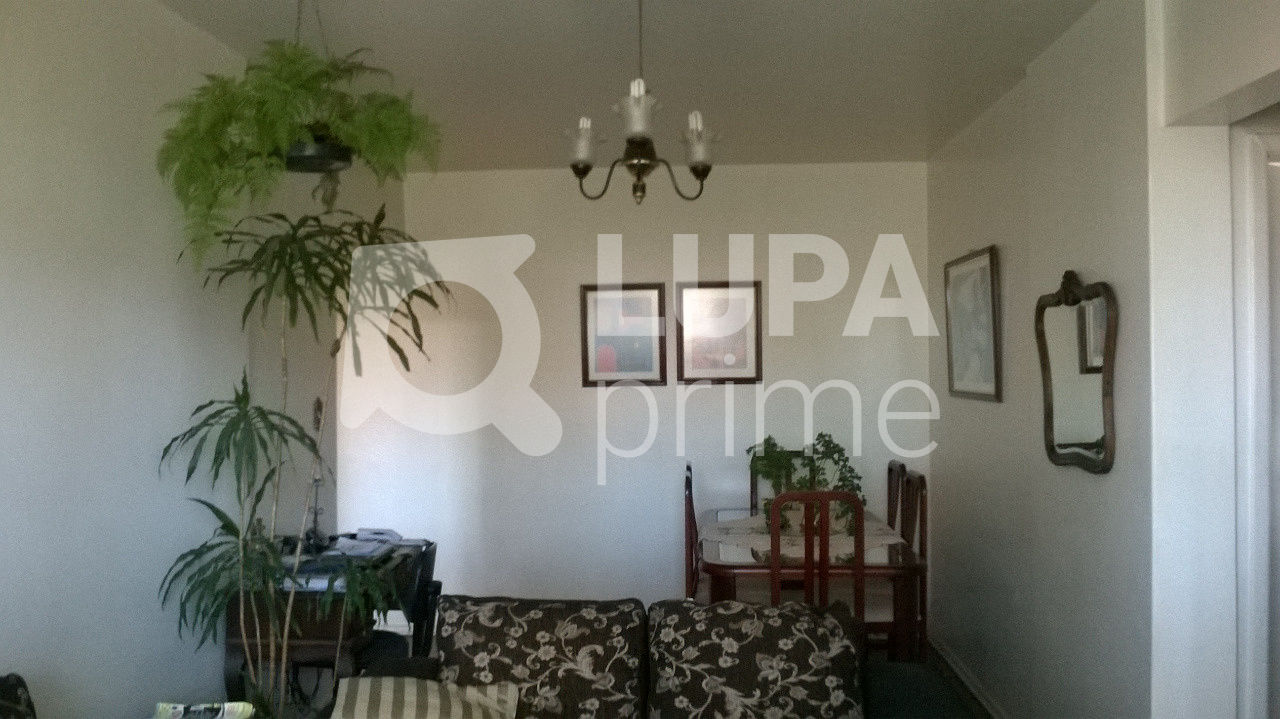 apartamento-venda-sao-paulo-santana-2dormitorios-70m2-LS33744