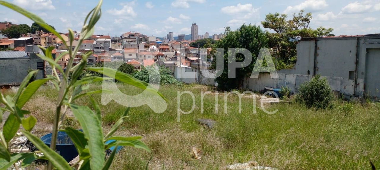 terreno-venda-sao-paulo-vila-gustavo-LS33803