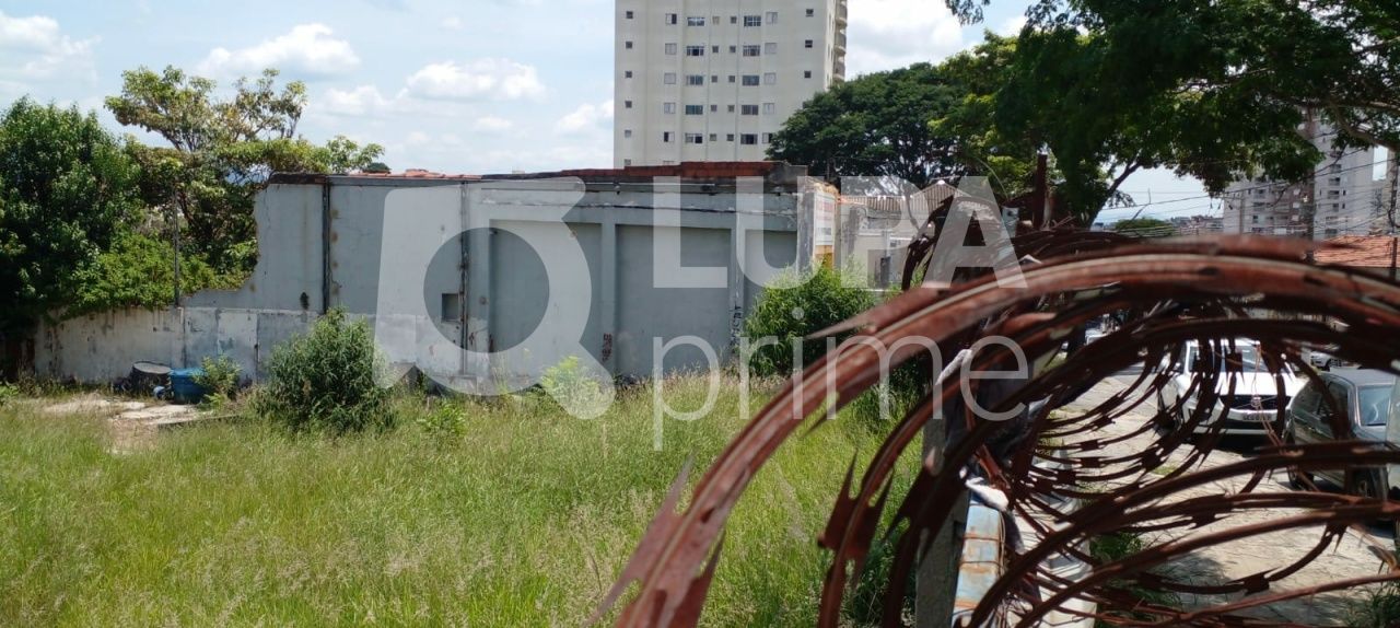 terreno-venda-sao-paulo-vila-gustavo-LS33803