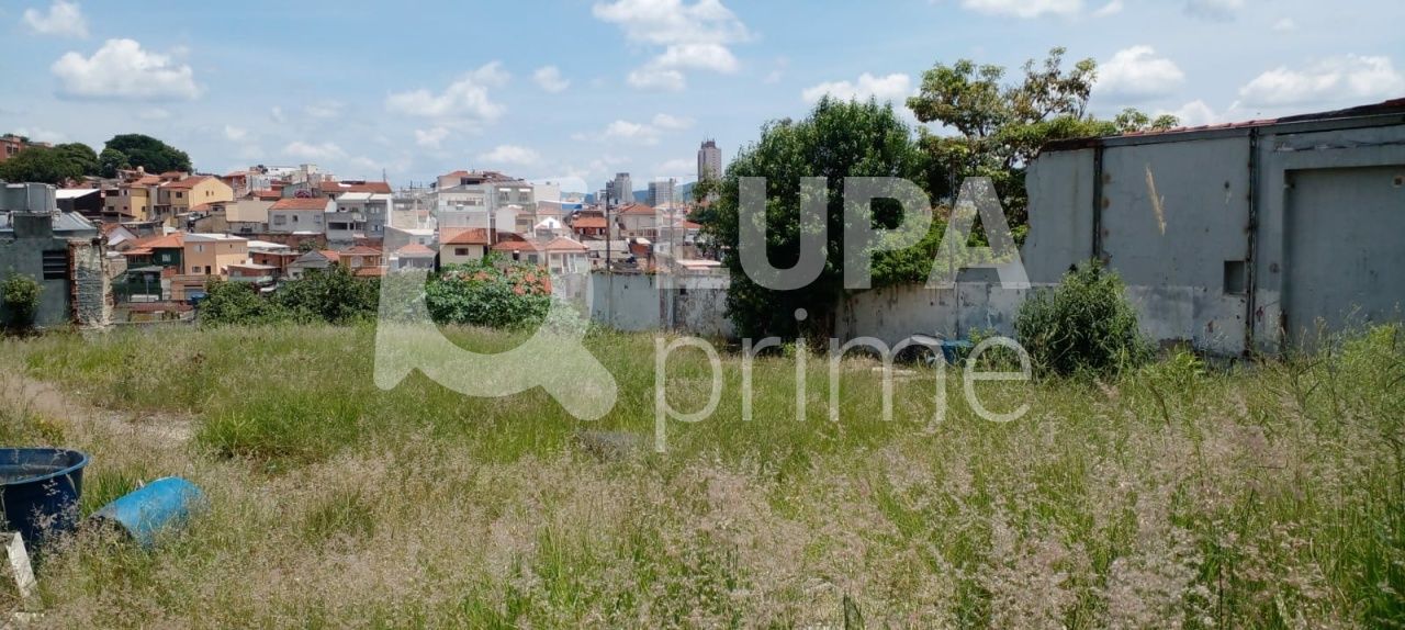 terreno-venda-sao-paulo-vila-gustavo-LS33803