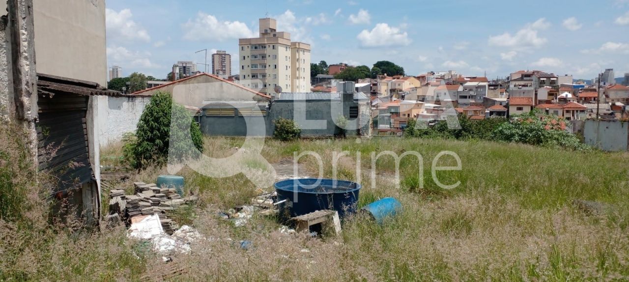 terreno-venda-sao-paulo-vila-gustavo-LS33803