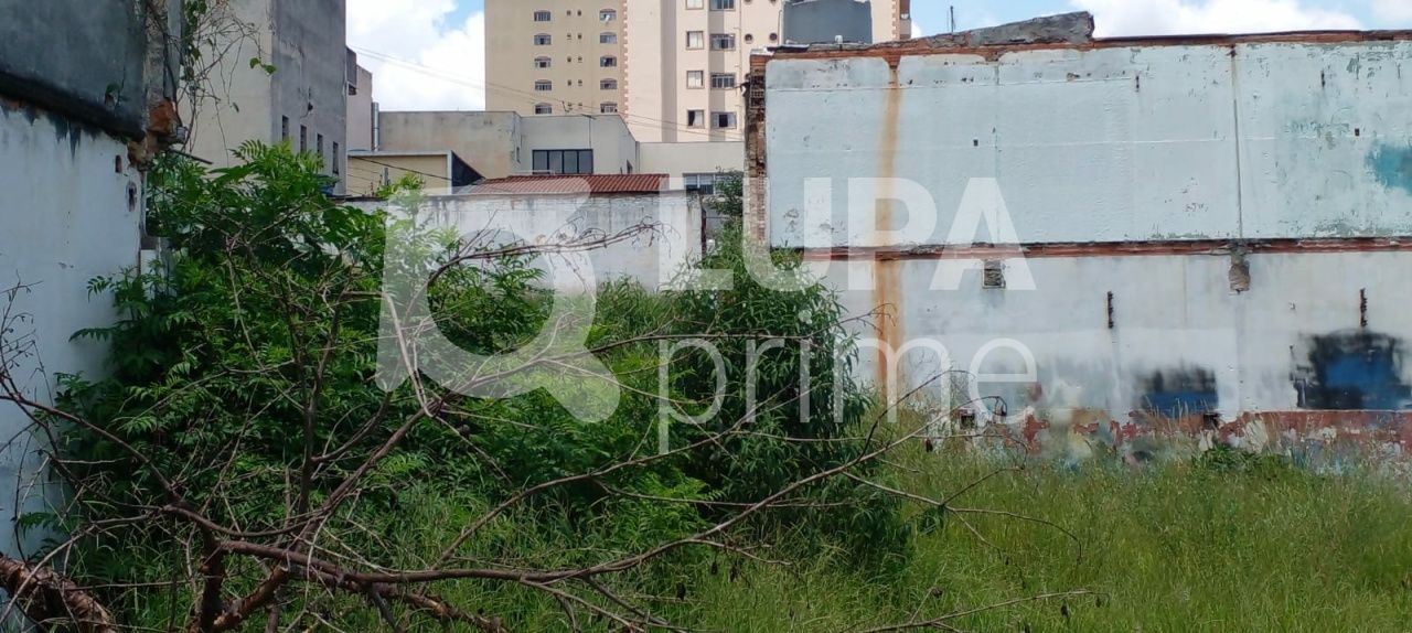 terreno-venda-sao-paulo-vila-gustavo-LS33803