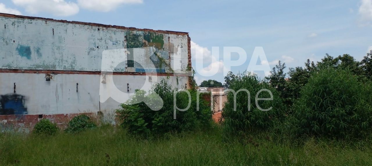 terreno-venda-sao-paulo-vila-gustavo-LS33803