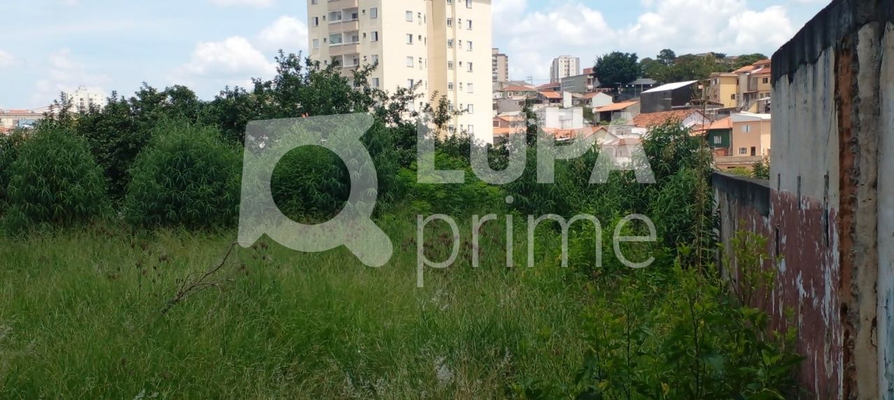 terreno-venda-sao-paulo-vila-gustavo-LS33803