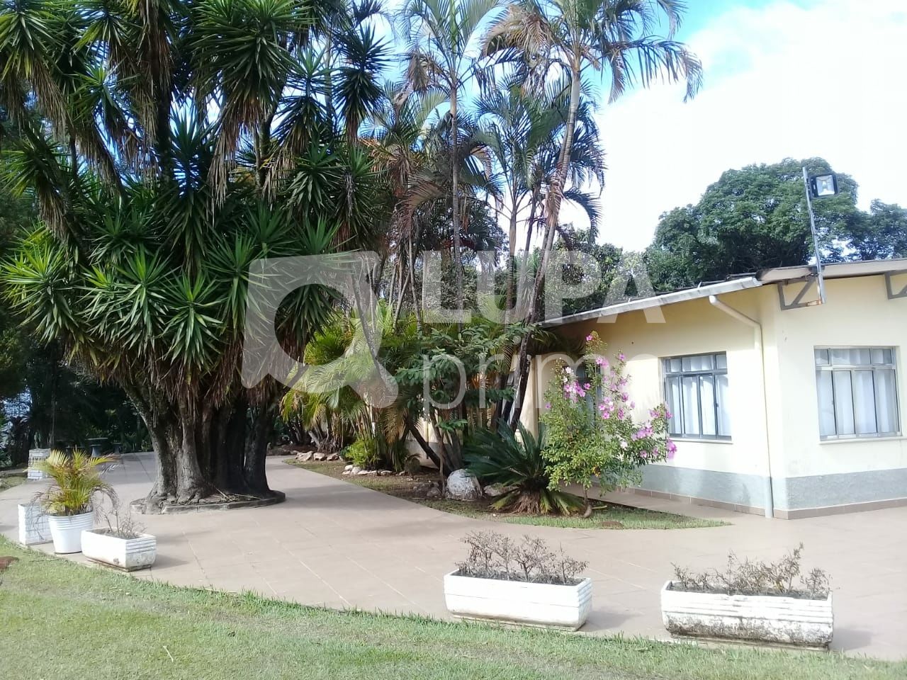 casa-terrea-venda-sao-paulo-jardim-francisco-mendes-4dormitorios-2suites-80vagas-821m2-LS33943
