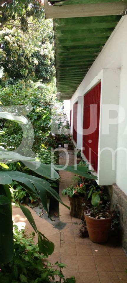 terreno-venda-sao-paulo-vila-albertina-120m2-LS34214