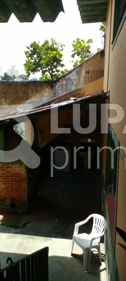 terreno-venda-sao-paulo-vila-albertina-120m2-LS34214