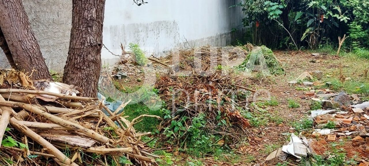 terreno-venda-sao-paulo-vila-constanca-LS35462